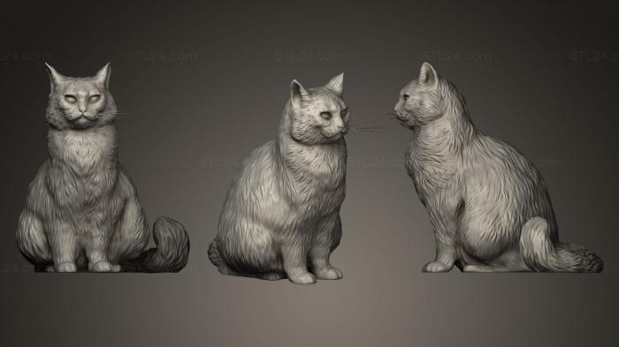 Статуэтки животных (Пушистый кот 15, STKJ_0280) 3D модель для ЧПУ станка